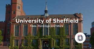 Image result for Sheffield University