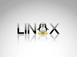 Image result for linux