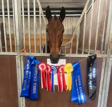 Image result for Cranleigh School Stables