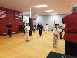 Image result for Phoenix Martial Arts