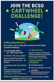 Image result for Border Counties School Of Gymnastics
