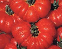 Afbeeldingsresultaat voor costoluto genovese tomato