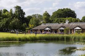 Image result for Clandon Regis Golf Club Ltd