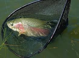 Image result for Aberdeen & District Angling Association