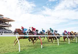 Image result for The Horse Racing Club