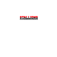 Image result for Staffordshire Stallions