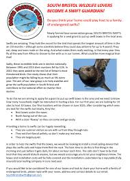 Image result for Bristol Swifts