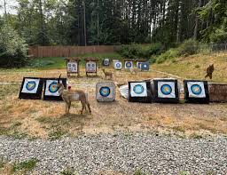Image result for NORTHEAST TARGET & SPORTING ASSOCIATION