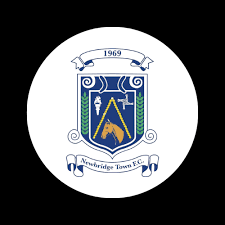 Image result for Newdigate F C