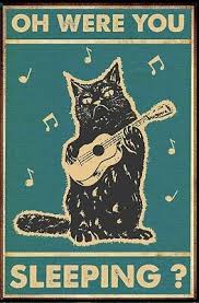 Image result for Cat sleeping in guitar