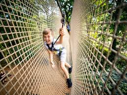 Image result for Go Ape! Thetford
