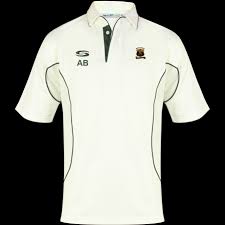 Image result for Worlingworth Cricket Club