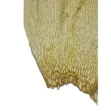 Attēlu rezultāti vaicājumam “Drepanocladus trifarius”