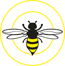 Image result for Wasps Football Club