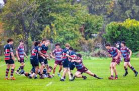 Image result for Dunstablians Rugby Union Football Club