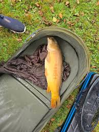 Image result for Bay Malton Angling Club