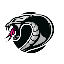 Image result for Woking Blackhawks