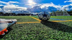 Image result for Grasshoppers Rfc