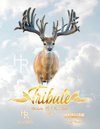 Image result for Big Bucks High Rollers