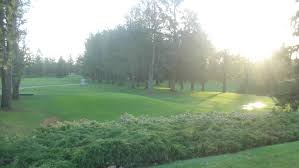 Image result for The Alt Golf Club