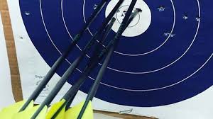 Image result for Blue Arrows Archery Club