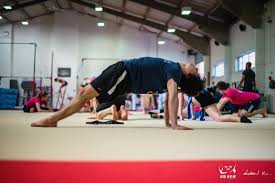Image result for Ruxley Gymnastics Club