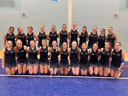 Image result for Fenton Manor Netball Club