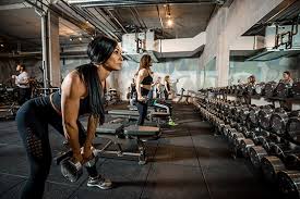 Image result for Swallows Of Helston Gym Club