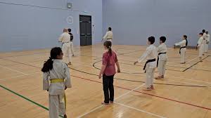 Image result for Waltham Abbey Shotokan Karate Club