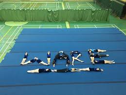 Image result for Wolverhampton Gymnastics Club