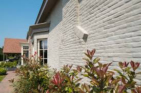 Image result for kaleien