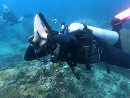 Image result for Simply Scuba