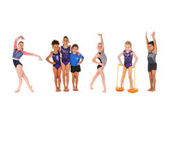 Image result for Pinewood Gymnastics Club