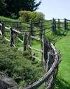 Bird Gardens - Wildlife Gardening and Conservation Tips for Birds ... 