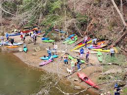 Image result for Westel Canoe Club