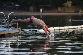 Image result for Serpentine Swimming Club