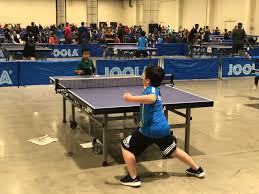 Image result for Northfield Table Tennis Club