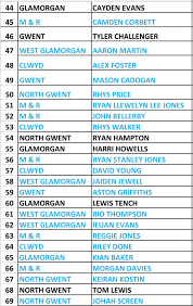 Image result for Clwyd County Darts Club