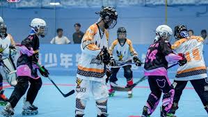 Image result for Urban Knights Inline Roller Hockey