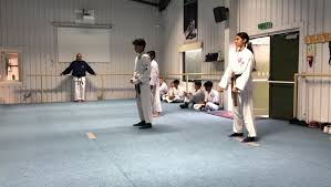 Image result for Heathrow Gymnastics Club