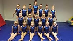 Image result for Tamworth Olympic Gymnastics Club
