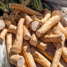 Attēlu rezultāti vaicājumam “Armoracia rusticana”