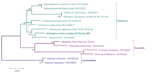 Attēlu rezultāti vaicājumam “Postia rennyi”