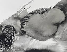 「加護タケシ」の画像検索結果