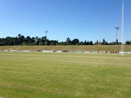 Image result for Newbury Rugby Club