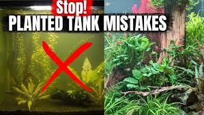 Attēlu rezultāti vaicājumam “Hildenbrandia rivularis”