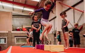 Image result for Stockport School Of Gymnastics