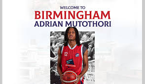 Image result for Bromsgrove Blaze Basketball Club