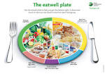 http://www.eatwell4life.org/images/eatwellplatelarge.jpg