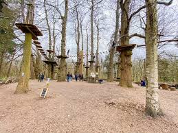 Image result for Go Ape! Leeds Castle